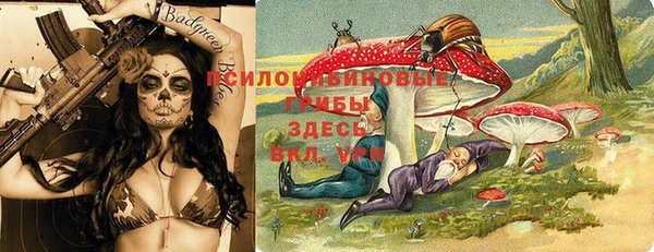 прущая мука Алексин