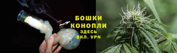 шишки Приозерск