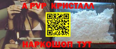 ECSTASY Гай